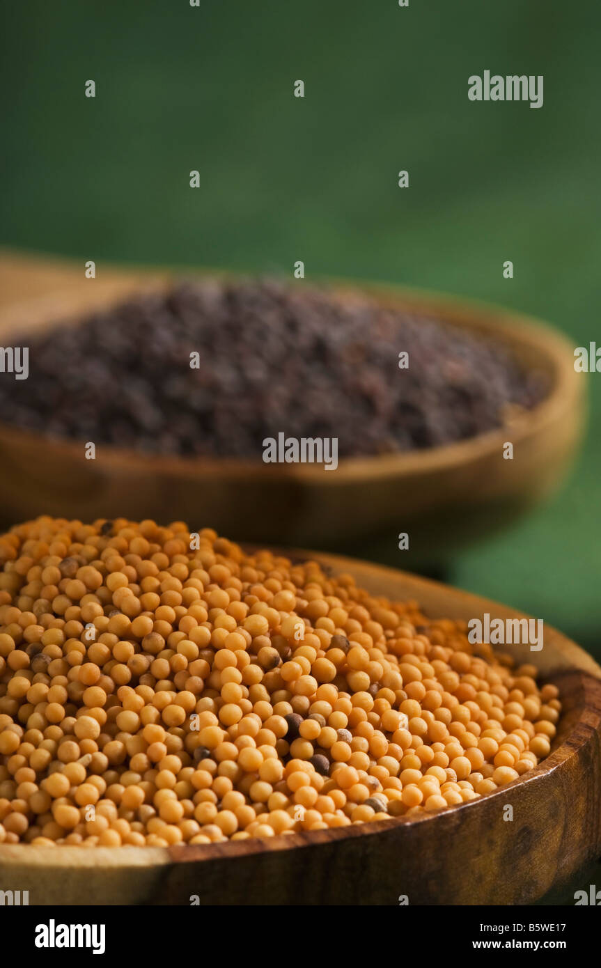 Gelbe und schwarze Senfkörner in Kellen Stockfoto