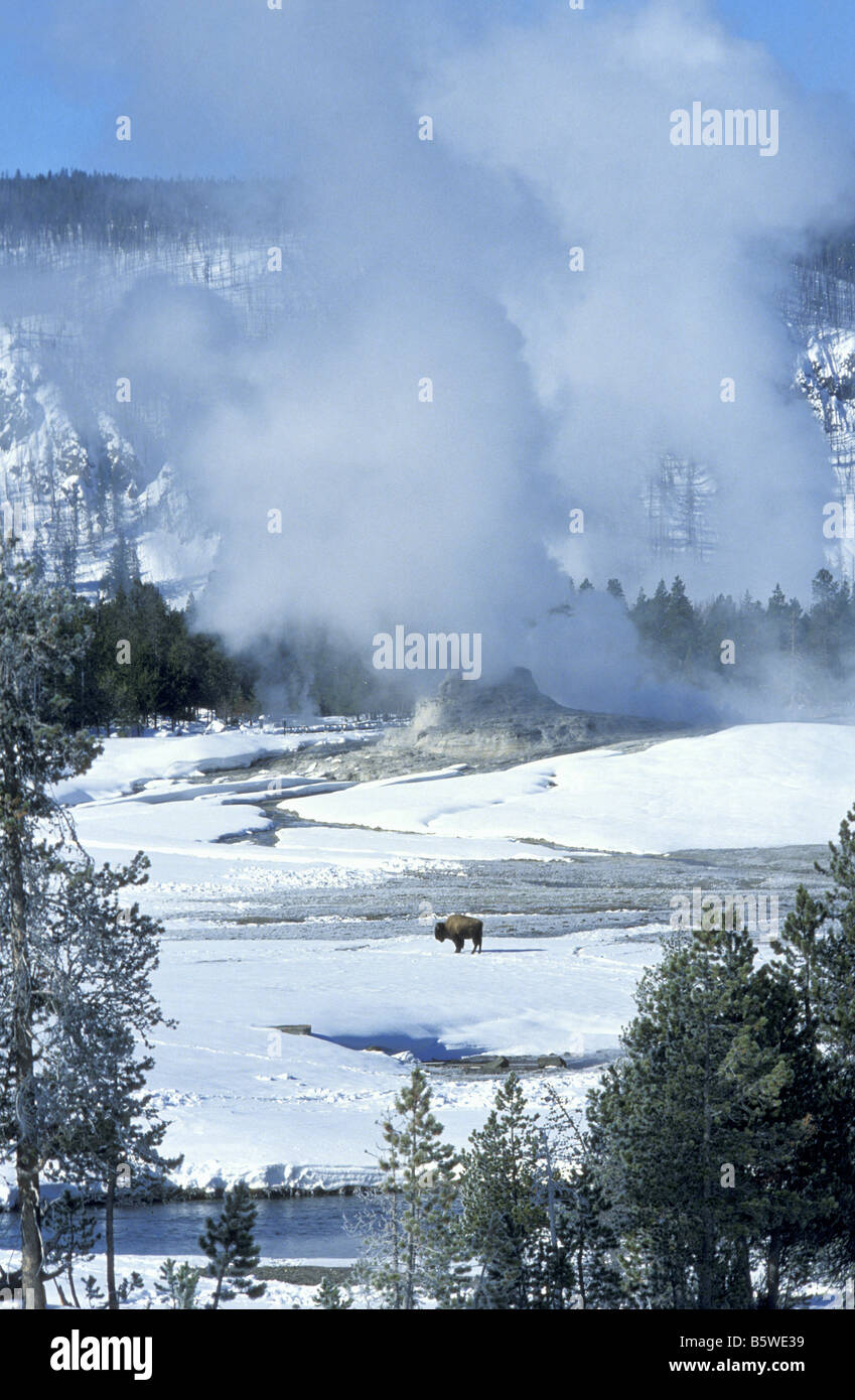 Yellowstone-Nationalpark - Winterlandschaft in der Nähe von Upper Geyser Basin Stockfoto