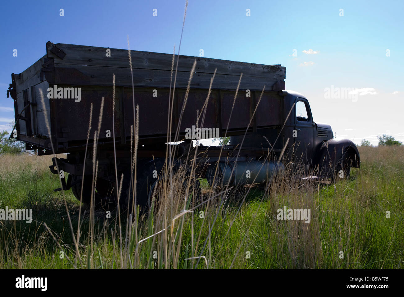 Eine verlassene Arbeit LKW in einem Feld Stockfoto