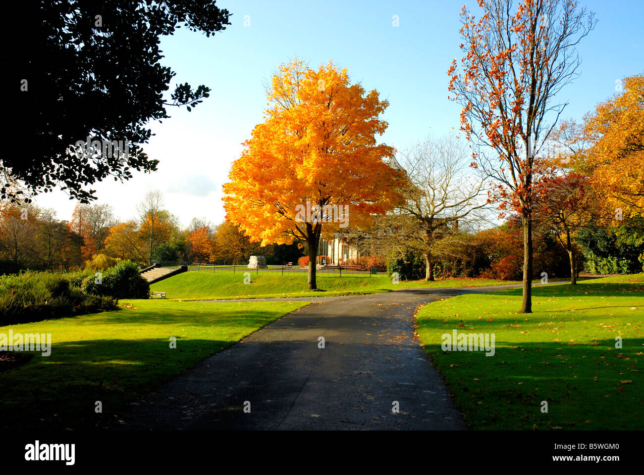 Herbstliche Farbenpracht im Mesnes Park, Wigan Stockfoto
