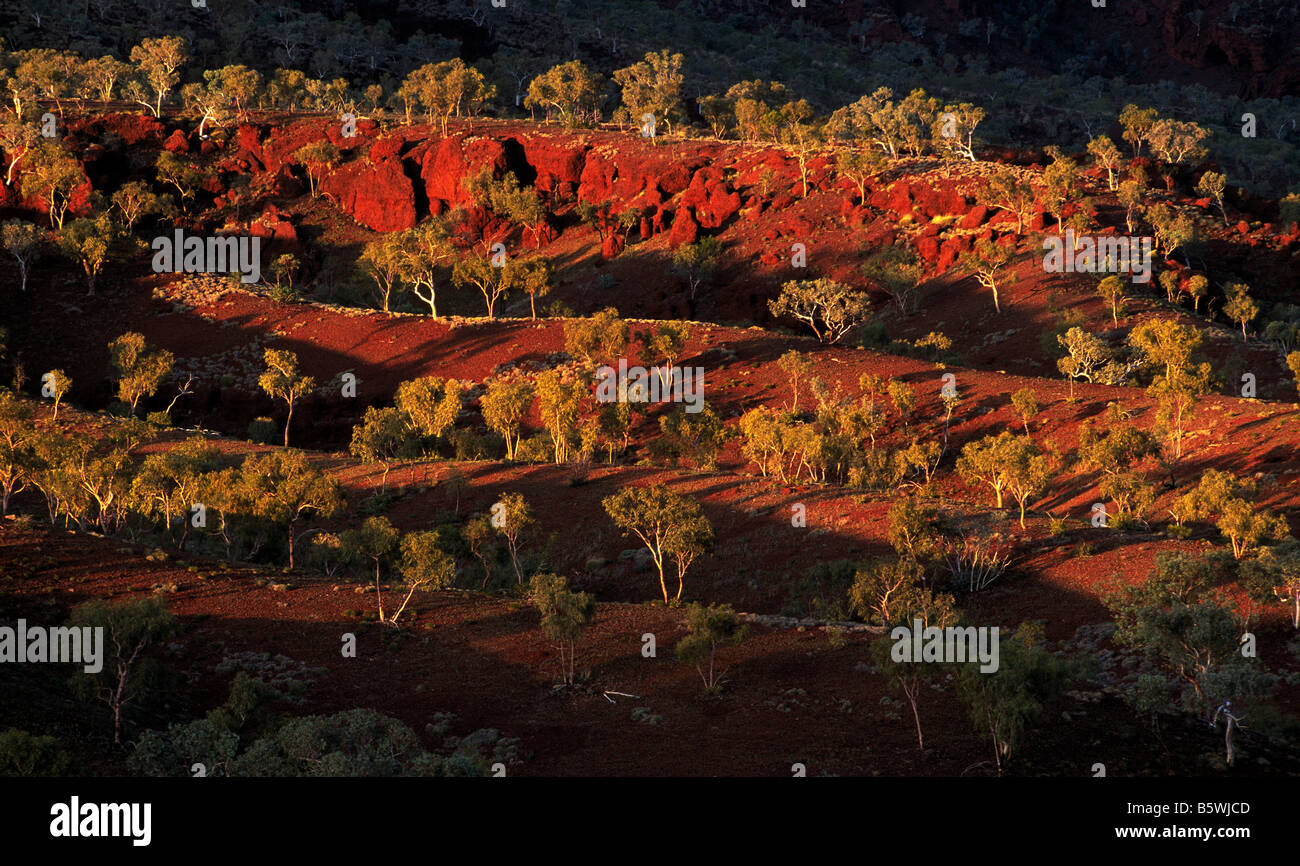 Szene der Pilbara, Western Australia Stockfoto