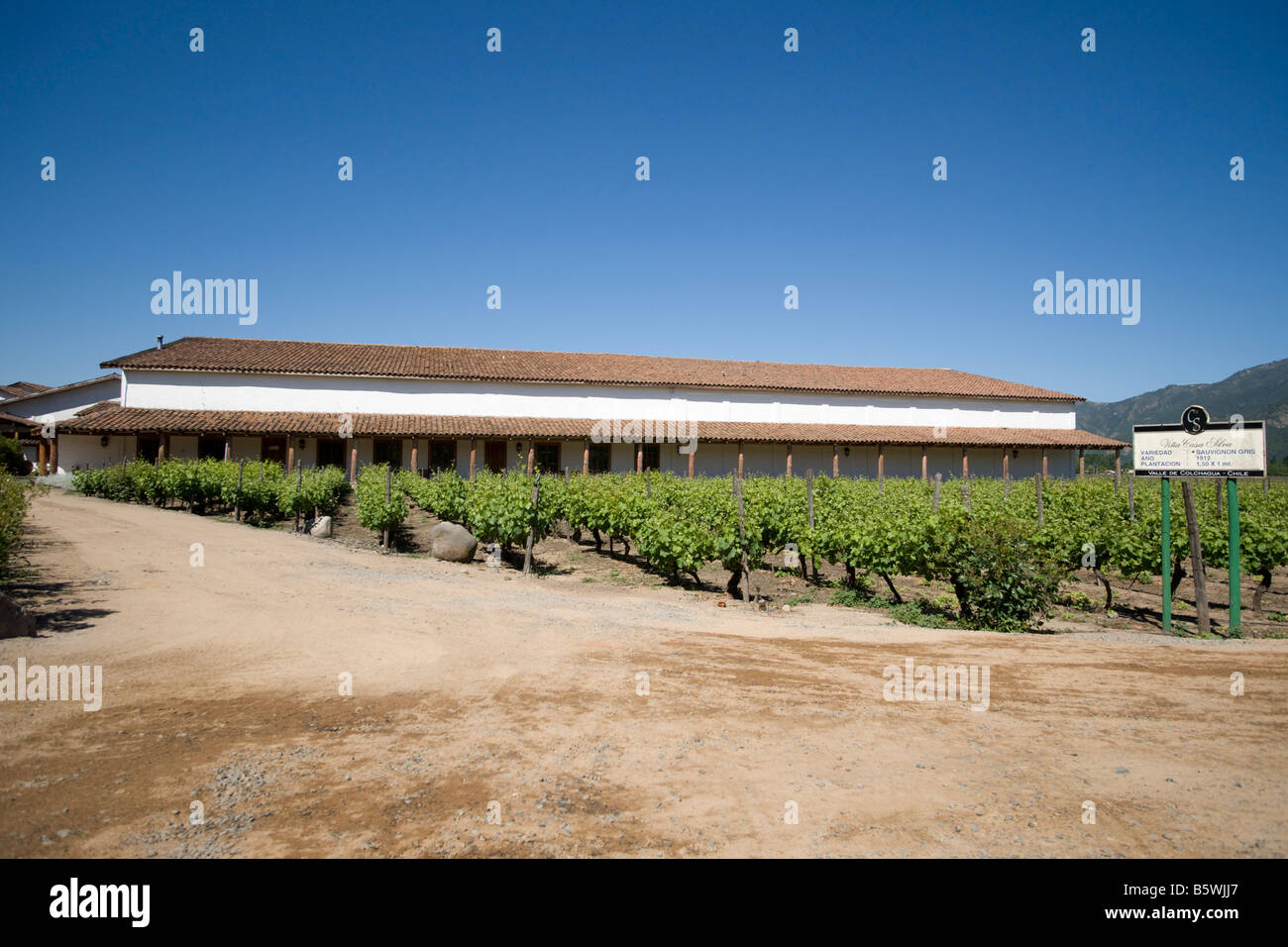 Casa Silva Weingut und Weinberg, Colchagua Valley, Chile Stockfoto