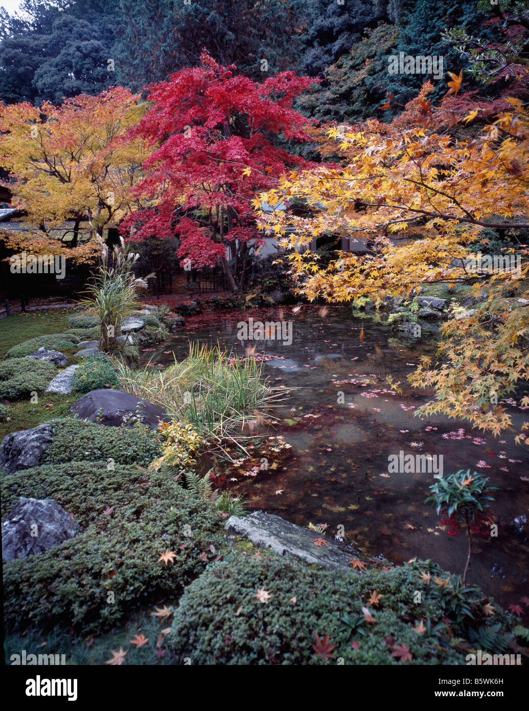 Hojo-Nanzen-Ji Kyoto - Herbstlaub Stockfoto