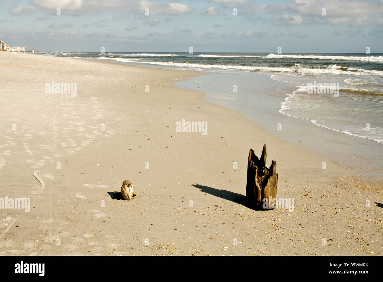 Eine verfallene hölzerne Pfähle mit einer Kokosnussschale durch den Ozean in Jacksonville Beach, Florida Stockfoto