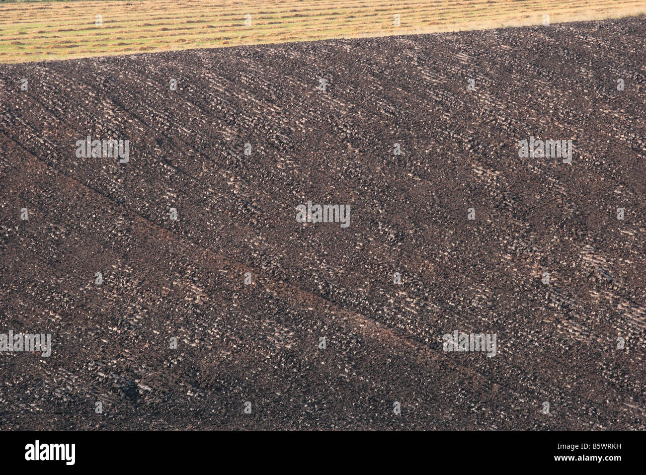 Muster, die in einen Acker. Stockfoto