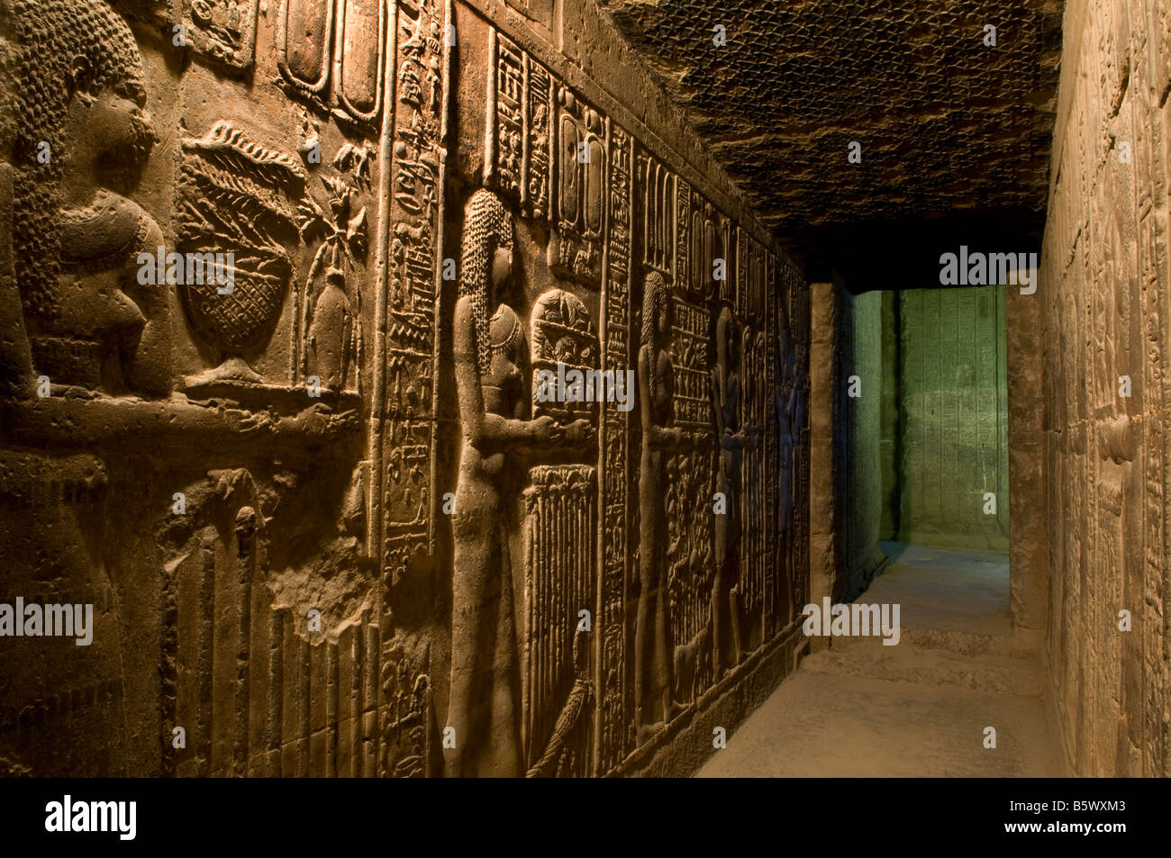 Die "Dendera Glühbirne" Hieroglyphen Schnitzerei in Dendera oder Dendara Hathor Tempel der Göttin Hathor in der Provinz Qena Ägypten gewidmet Stockfoto