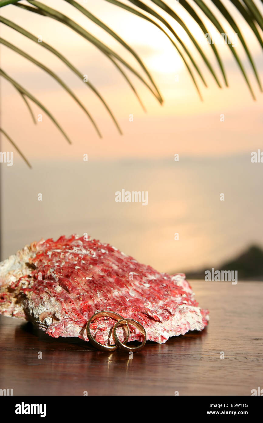 Trauringe vor einer Schale unter Palmen und Sonnenuntergang Stockfoto