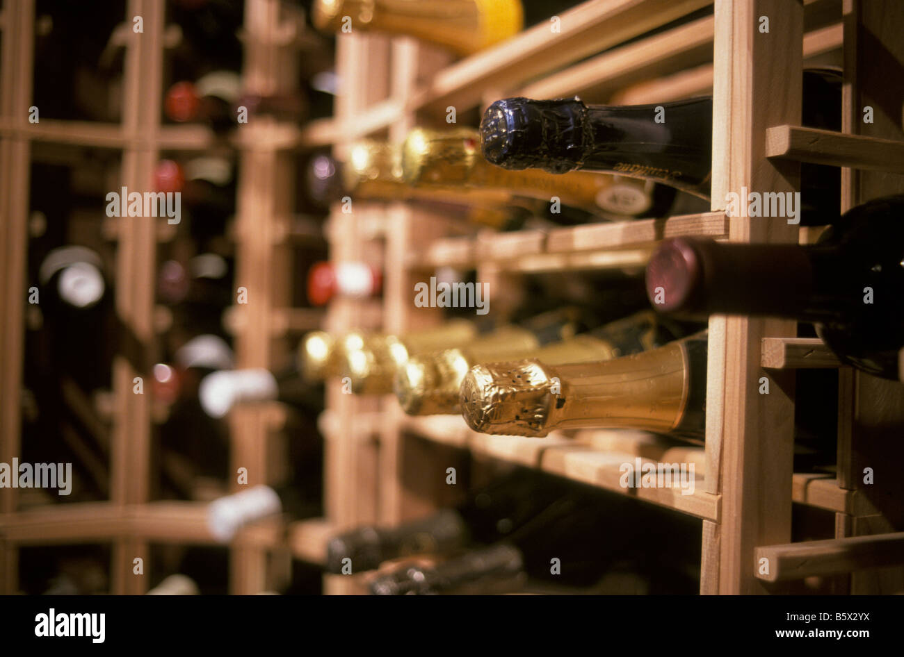 Flaschen Wein im Weinkeller Stockfoto