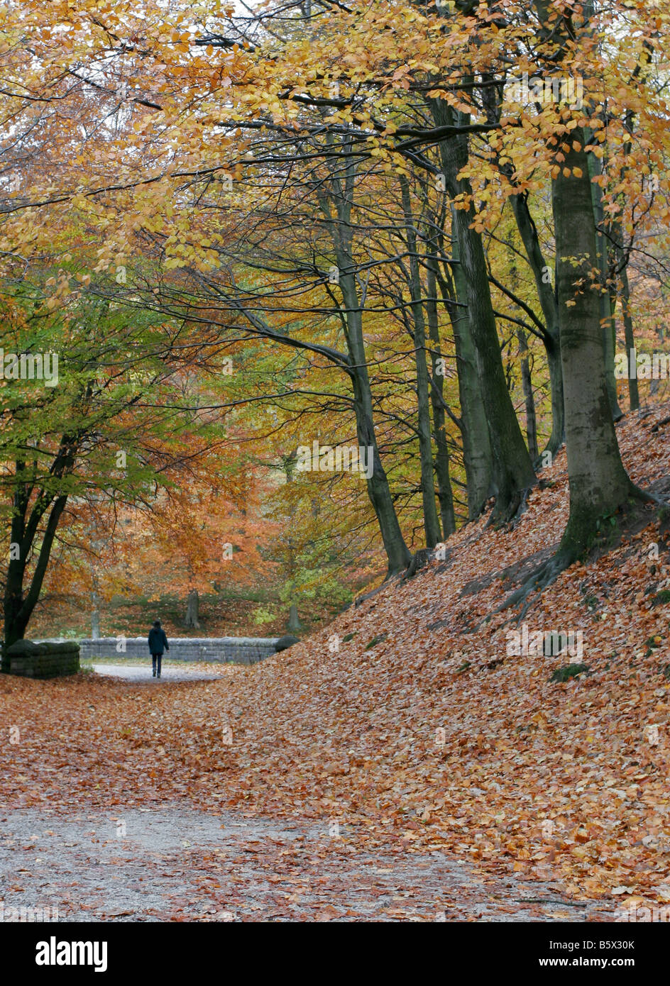Entfernten Person zu Fuß entlang eines bewaldeten Tracks im Herbst Stockfoto