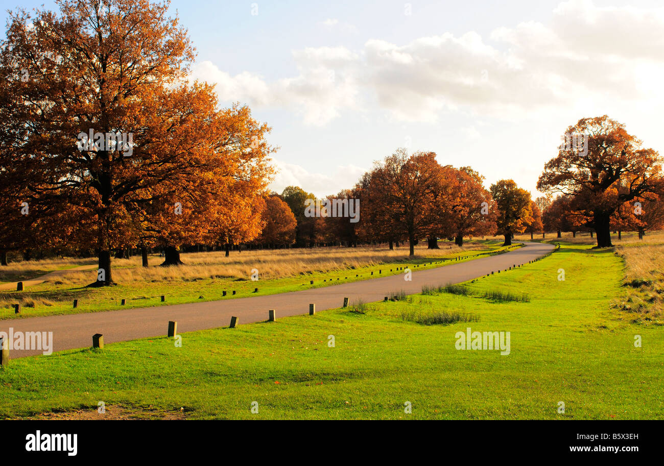 Leere Straße in Richmond Park, Richmond nach Themse Surrey UK Stockfoto