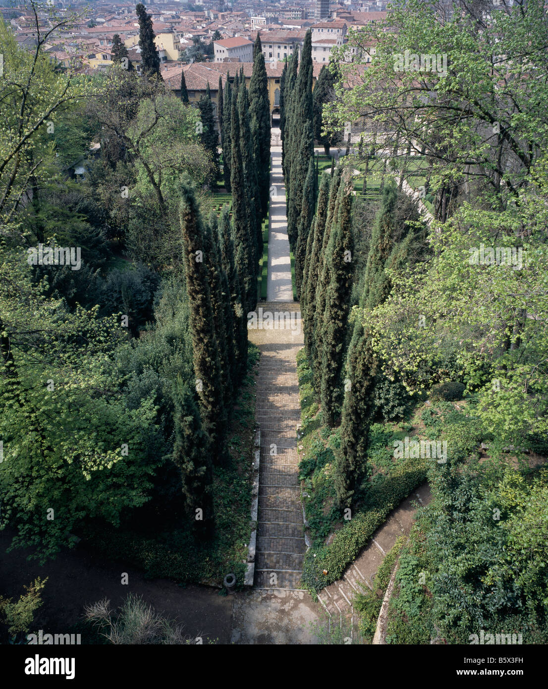 Verona, Giusti Gärten Zypressen Stockfoto