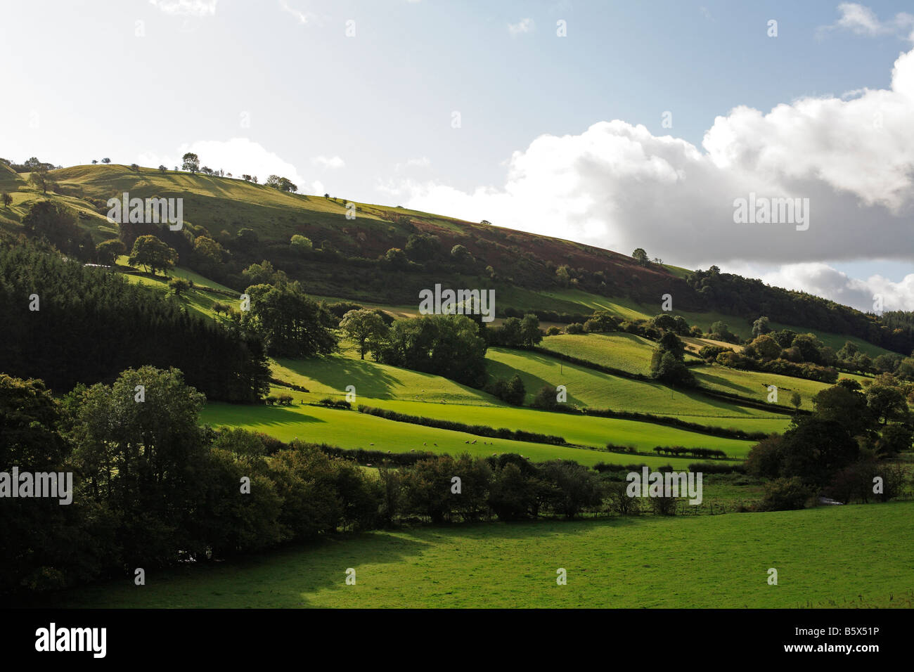 1308-Landschaft in der Nähe von Lake Vyrnwy Powys Wales UK Stockfoto