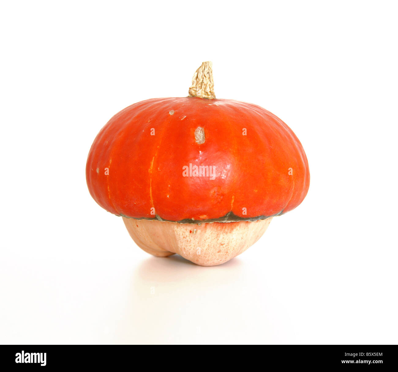 Orange farbigen Kürbis auf weißen Hintergrund isoliert Stockfoto
