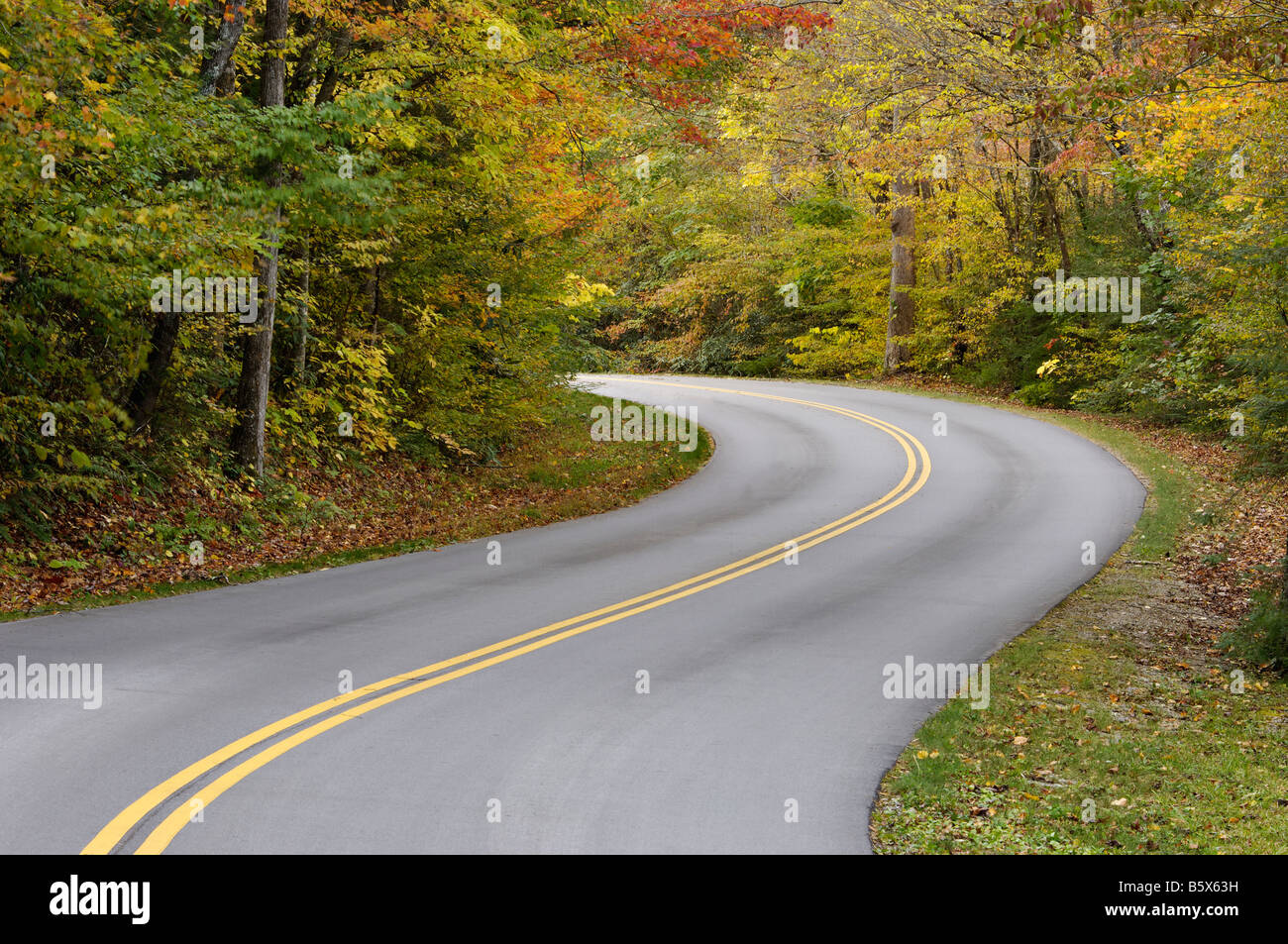 Straße durch Herbst Wald in Great Smoky Mountains Nationalpark Tennessee geschwungene Stockfoto