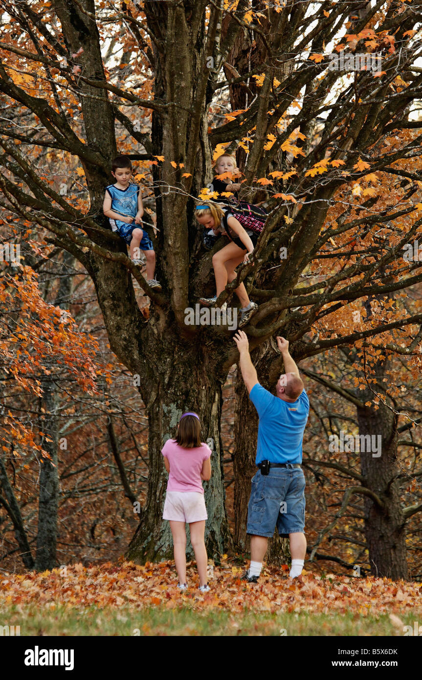 Kinder im Herbst Ahornbaum mit Vater unten in Bernheim Arboretum und Forschung Wald Bullitt County Kentucky Stockfoto