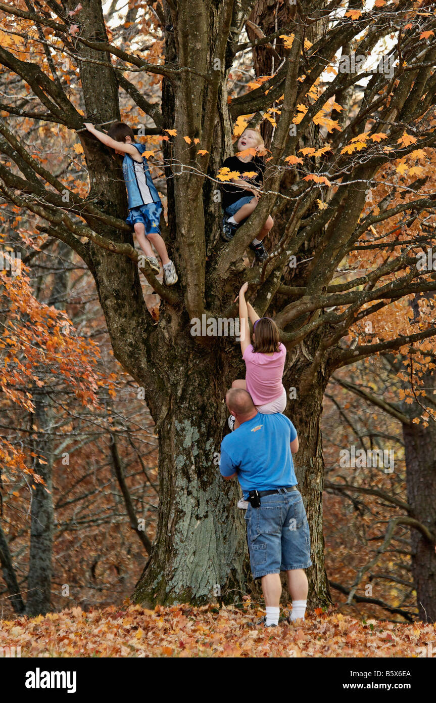 Kinder im Herbst Ahornbaum mit Vater unten in Bernheim Arboretum und Forschung Wald Bullitt County Kentucky Stockfoto