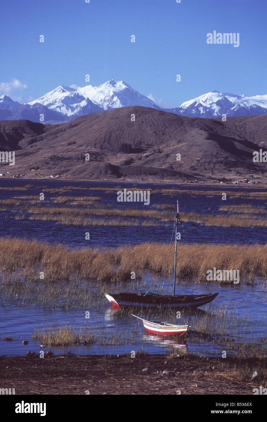 Angelboote/Fischerboote am Puerto Perez, Mt Chearoco und Cordillera Real hinter den Titicacasee, Bolivien Stockfoto
