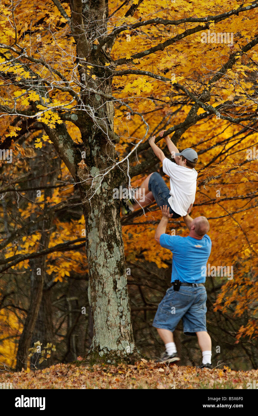 Vater ein Herbst Ahornbaum in Bernheim Arboretum und Forschung Wald Bullitt County Kentucky hilft seinem Sohn Klettern Stockfoto