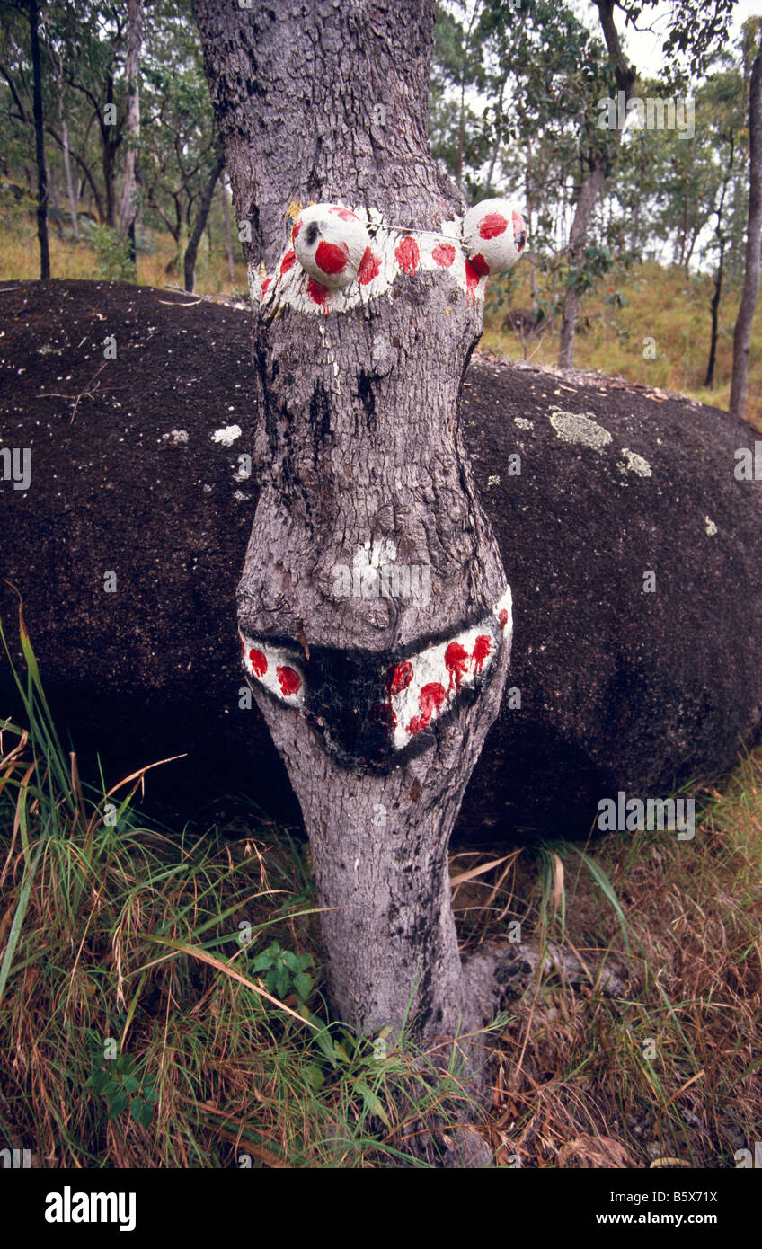 Bikini-Baum, Outback Australien Stockfoto