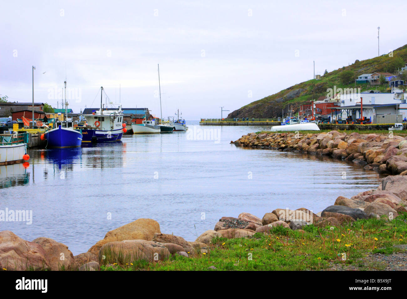 Kleiner Hafen, ein Fischerdorf in Neufundland, Kanada Stockfoto