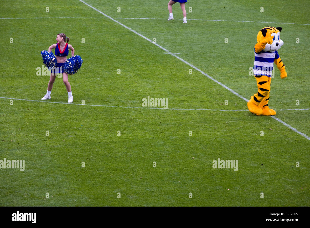 Queens Park Rangers (QPR) Cheerleader und Maskottchen unterhalten das Publikum in der Halbzeitpause. Stockfoto