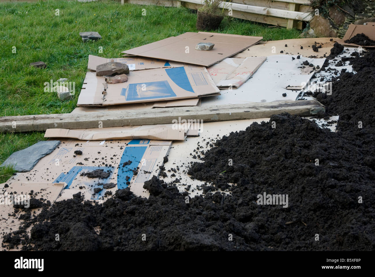 Oberboden und Pappe auf einen vorhandenen Rasen legen, um einen Gemüsegarten zu bilden Stockfoto