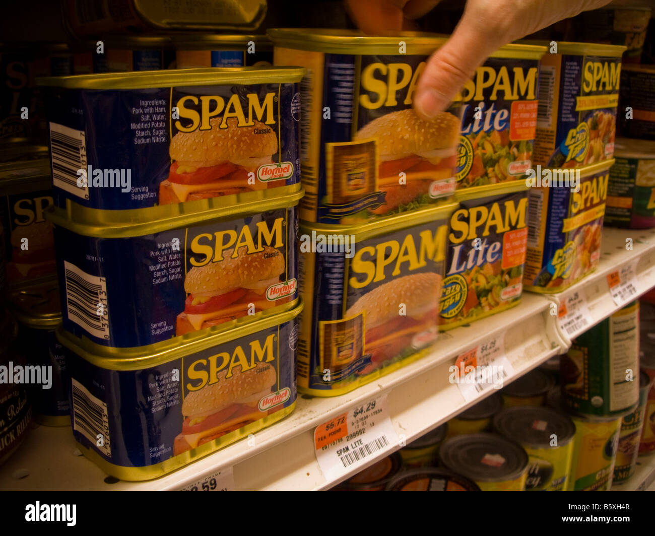 Dosen von Spam durch Hormel auf einem Supermarktregal in New York zu sehen sind Stockfoto