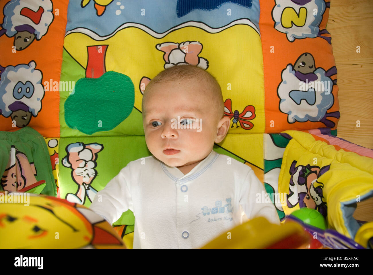 Jungen im Alter von zwei Monaten Entwicklung von Motorik und Hand-Auge-Koordination spielen in bunten Babygym Stockfoto