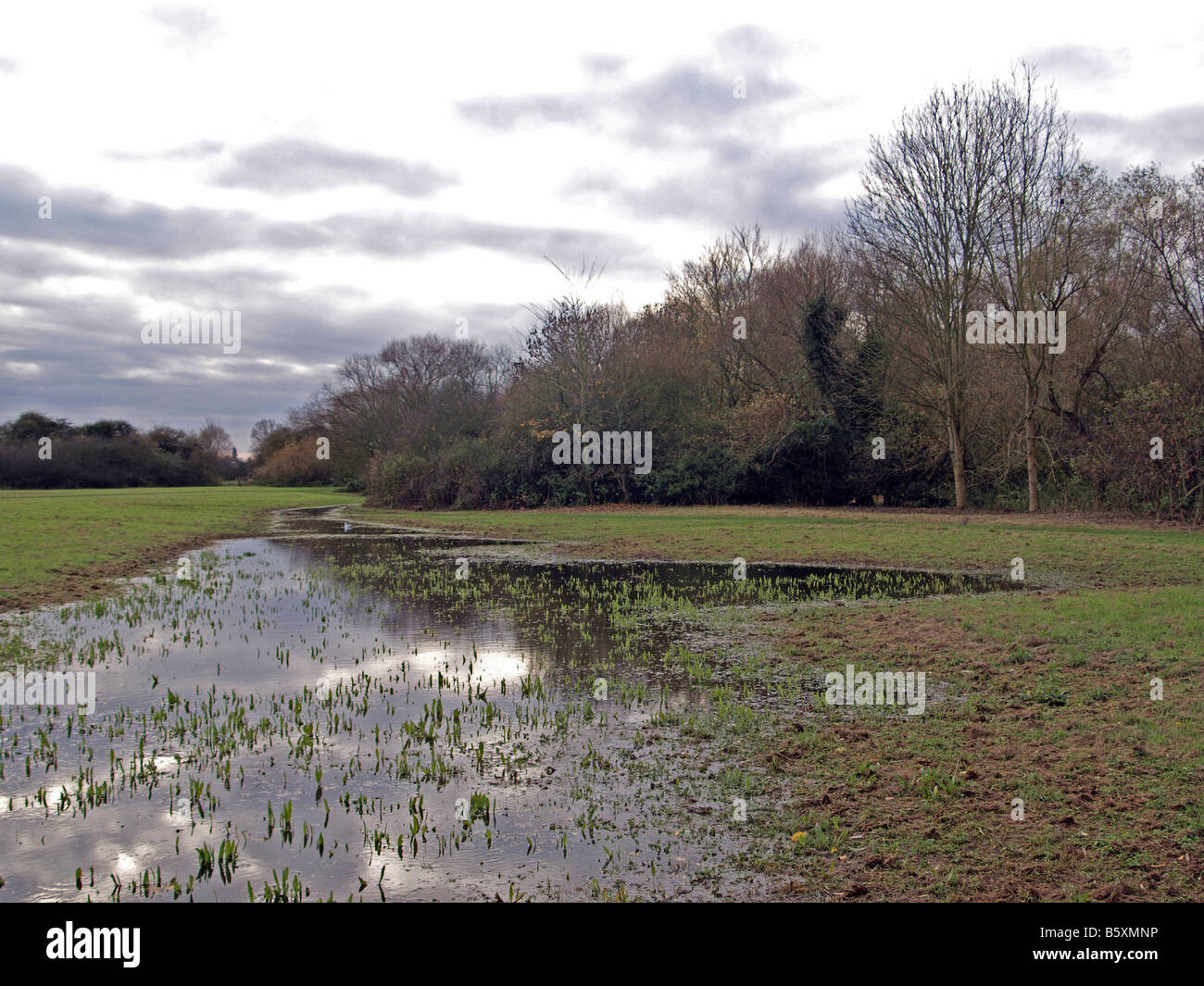 Überfluteten Gebiet nach starkem Regen. Stockfoto