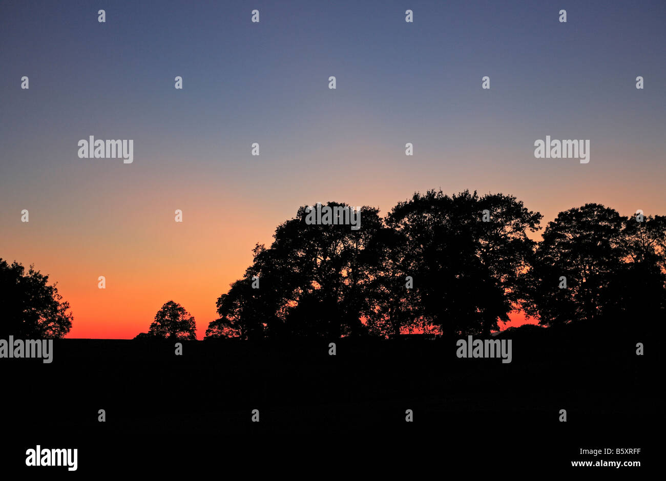 1294 Herbst Sonnenuntergang in der Nähe von Oswestry Shropshire UK Stockfoto