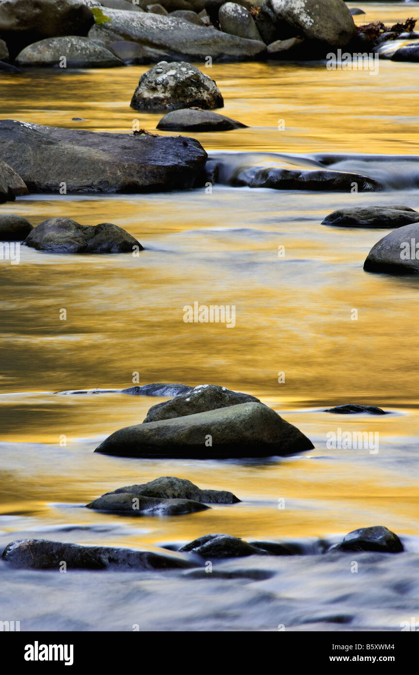 Herbst Farben Reflexionen und Felsbrocken auf den kleinen Fluss Great Smoky Mountains Nationalpark Tennessee Stockfoto