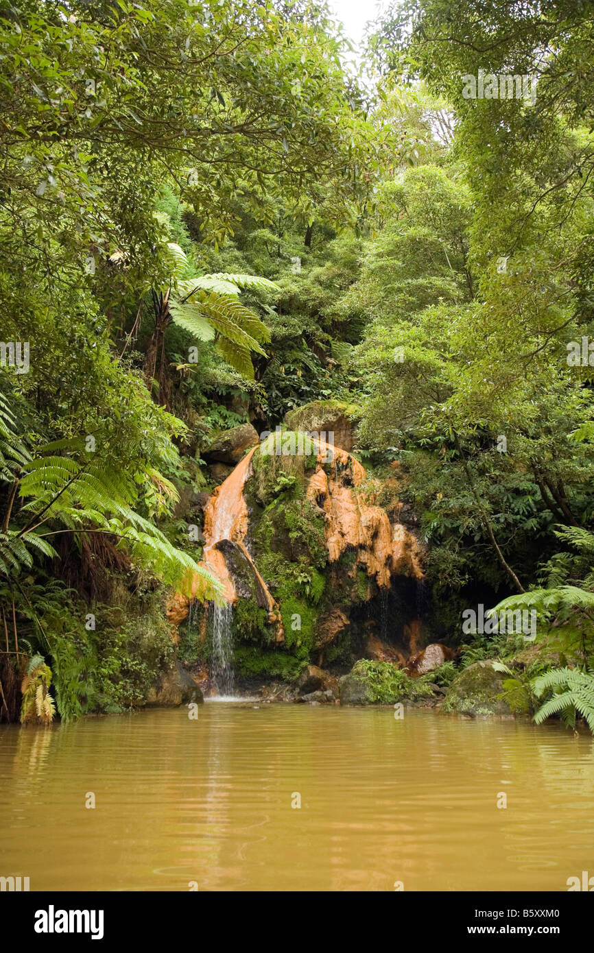 Die warmen Wasserfall bei Caldeira Velha, Sao Miguel, Azoren, Portugal. Natürlich erwärmten Wassers beträgt 32 C. Stockfoto