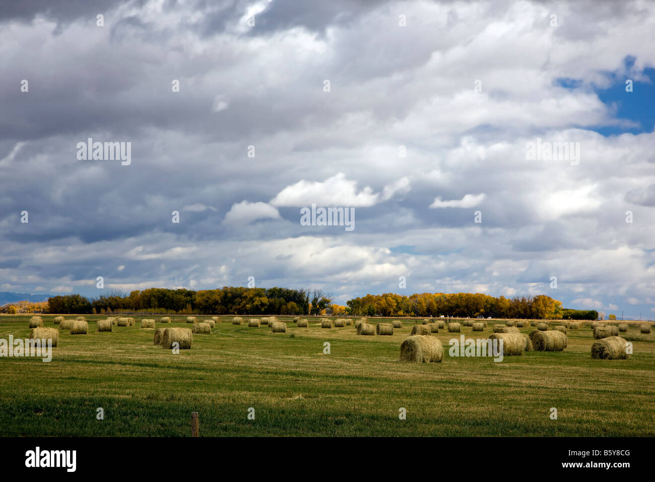 Heu in Feld gerollt, auf Ranch aus RT. 191 in der Nähe von Eden, Wyoming, USA Stockfoto