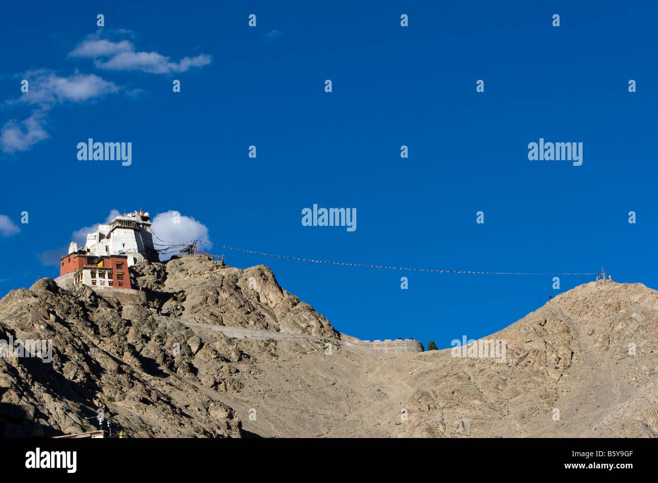 Namgyal Tsemo Gompa Leh Ladakh Stockfoto