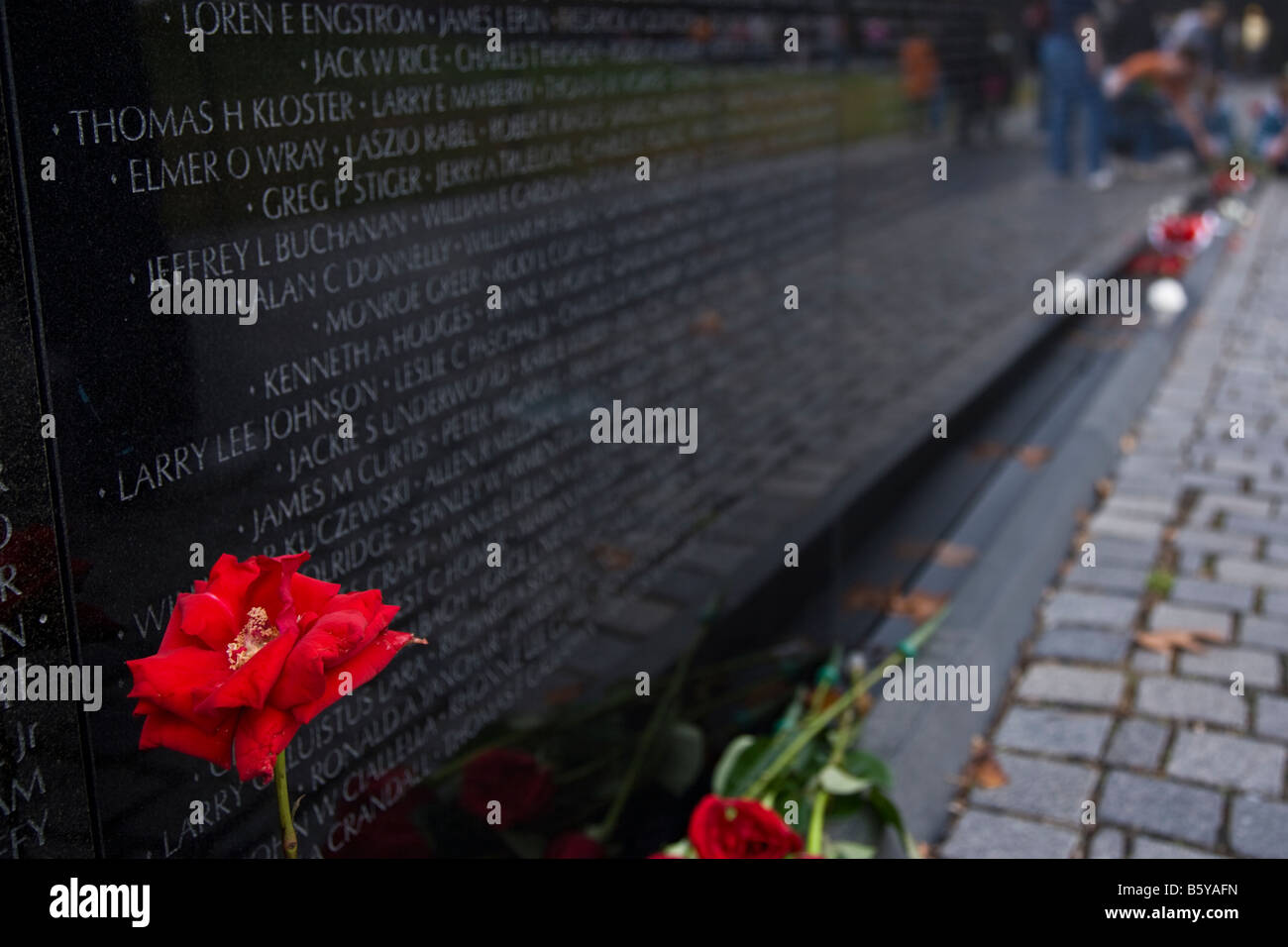Rote rose in Gedenken an die Toten in der Vietnam-Veteran Memorial Wall. Stockfoto