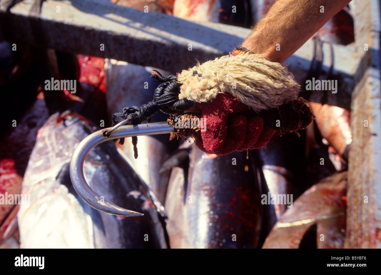 Haken Sie für den Thunfischfang in Barbate Cádiz Provinz Spanien Stockfoto