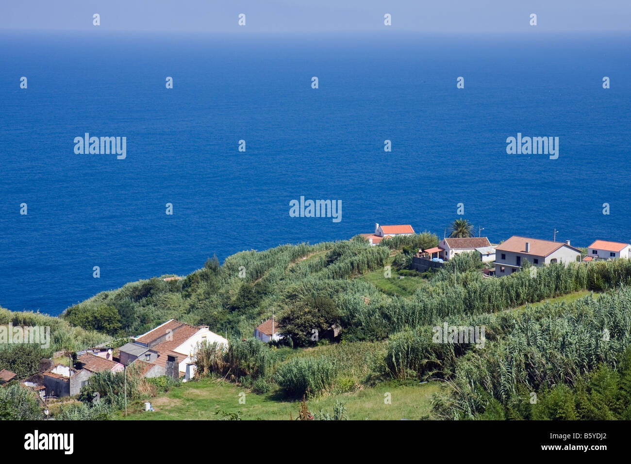 Häuser am Meer in São Miguel, Azoren, Portugal Stockfoto