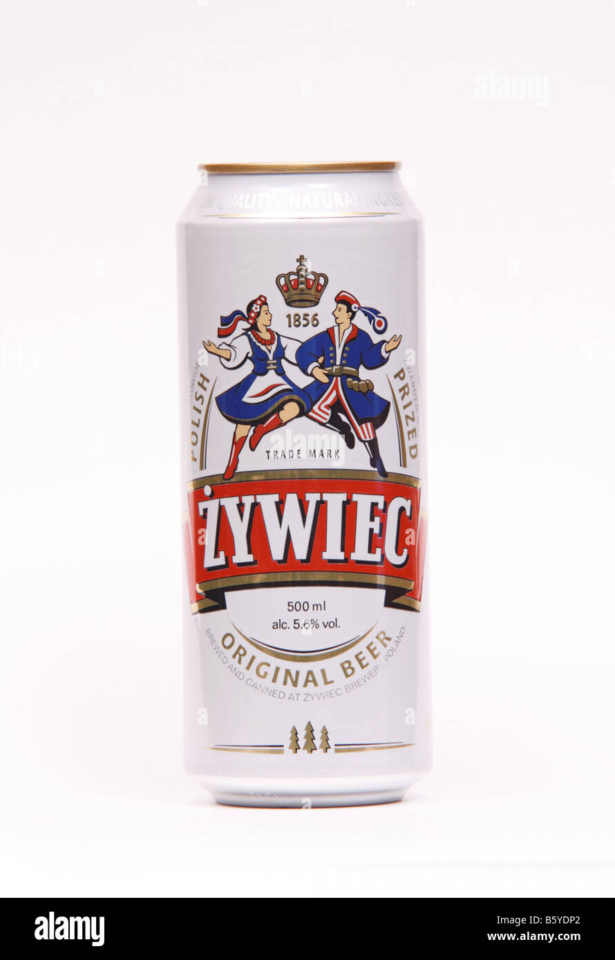 Kann der Zywiec polnischen Bier Ausschneiden Stockfoto