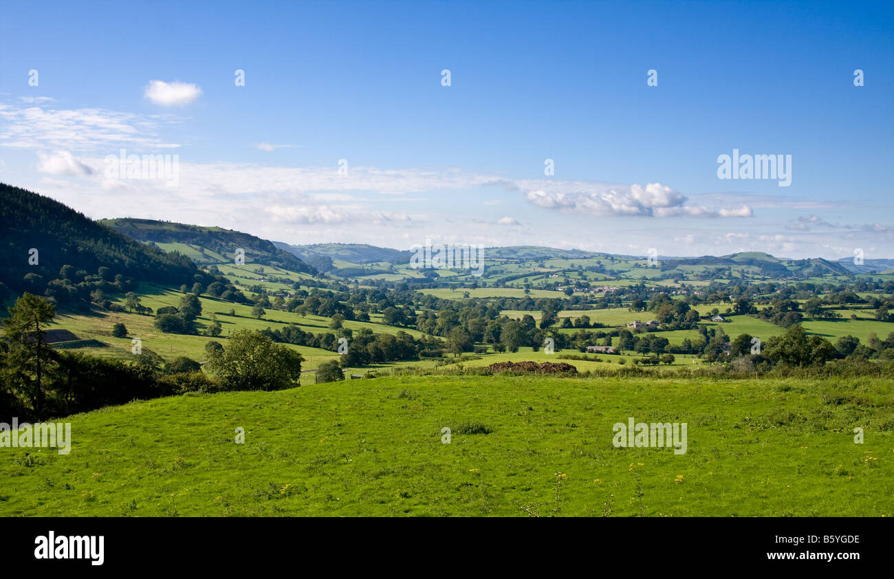 Shropshire Landschaft in der Nähe von Oswestry, Großbritannien - Rolling Hills an der Grenze von England und Wales. Stockfoto