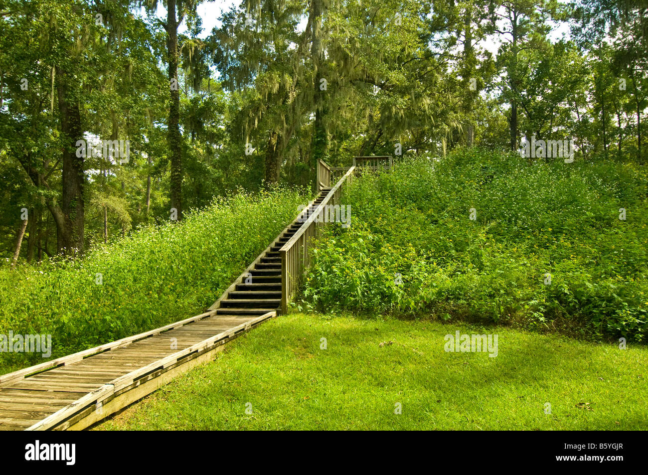 Lake Jackson Mounds archäologische State Park Tallahassee Florida Indian earth Tempel Grabhügel Holztreppen Promenade Stockfoto