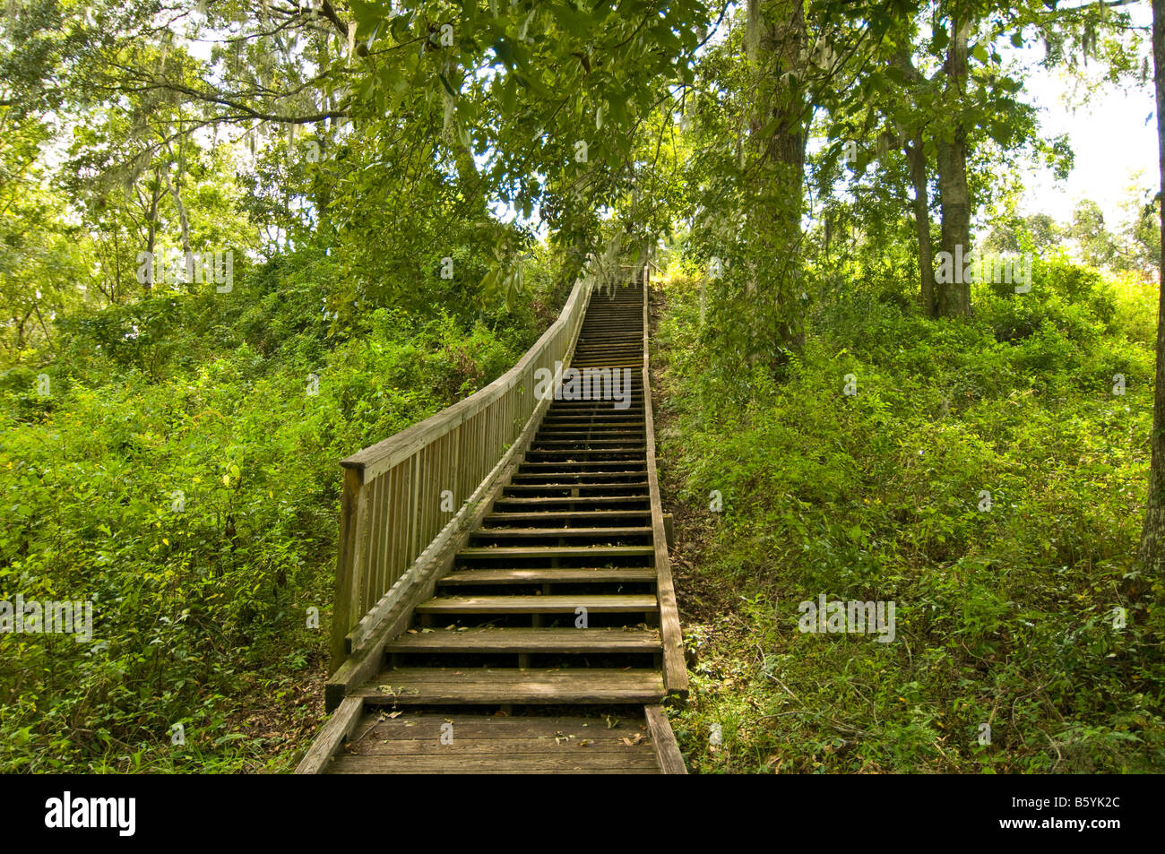 Lake Jackson Mounds archäologische State Park Tallahassee Florida Indian earth Tempel Grabhügel Holztreppen Promenade Stockfoto