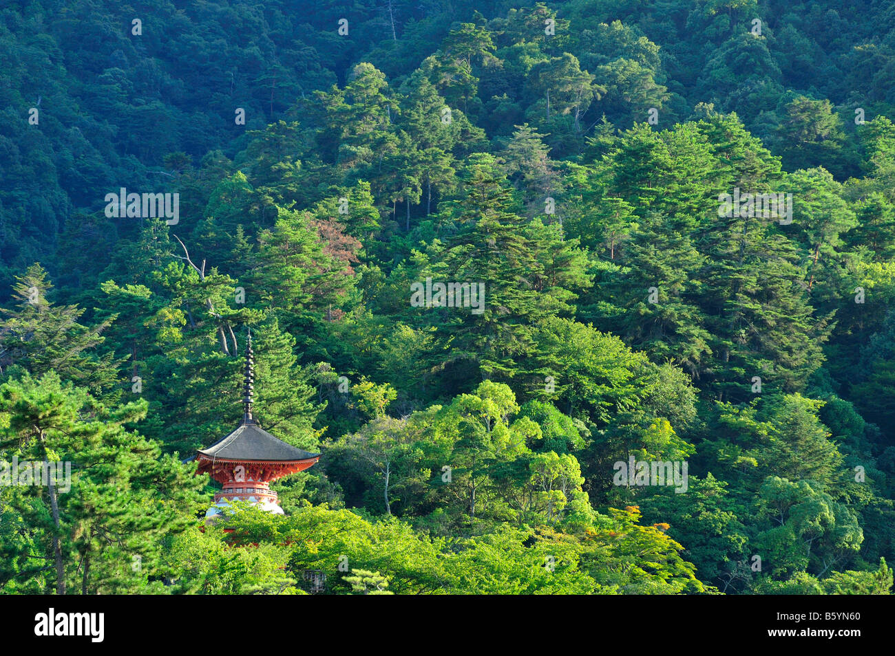 Tahoto Pagode, Miyajima Cho, Hatsukaichi, Präfektur Hiroshima, Japan Stockfoto