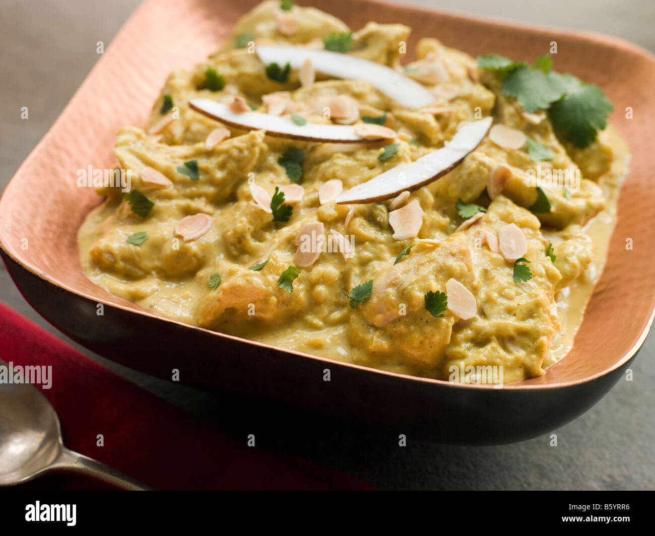 Chicken Korma Curry Stockfoto