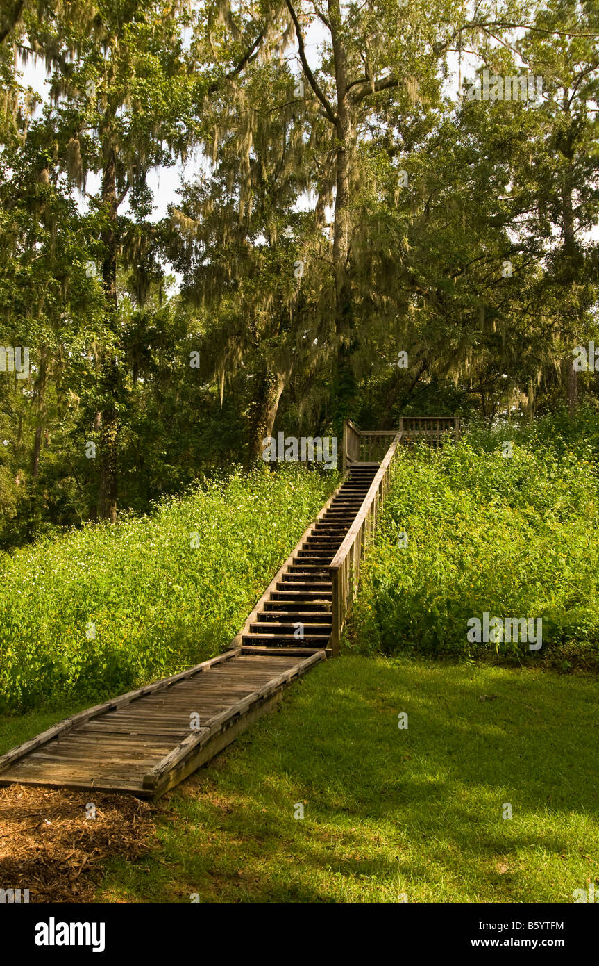 Lake Jackson Mounds archäologische State Park Tallahassee Florida Indian earth Tempel Grabhügel Holztreppen Promenade Stockfoto