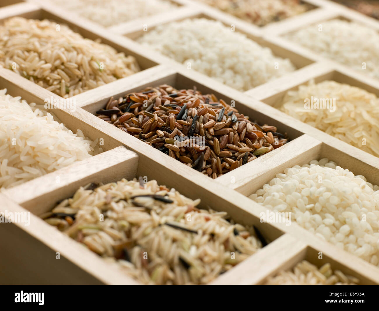 Auswahl an Reissorten Stockfoto