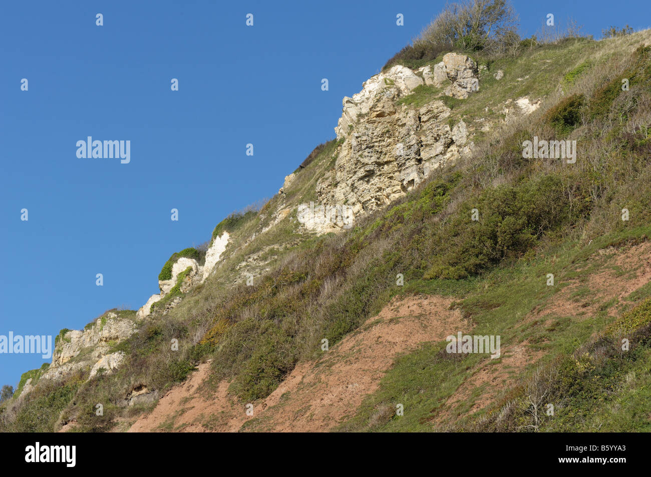 Felsen aus Kalkstein auf den Meeresklippen Branscombe, East Devon Stockfoto