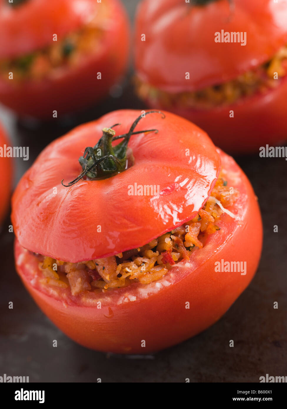 Gefüllte Rindfleisch Tomaten auf ein Backblech legen Stockfoto
