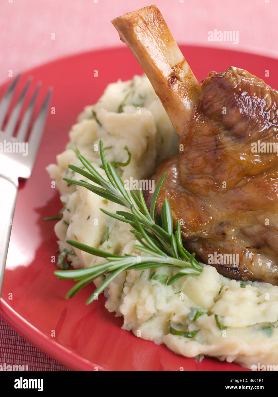 Langsam gerösteten Schaft des Frühlingslamm mit Champ Stockfoto