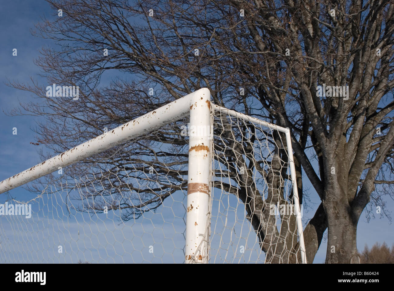 net unter dem Baum verrosteten Fußball Stockfoto