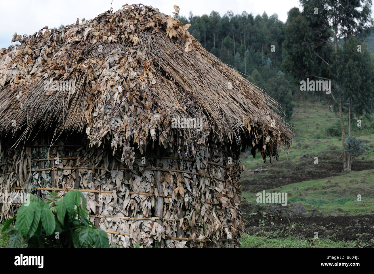 Einem typischen traditionellen Schlamm Hütte Haus einfach schlechte Armut ländlichen Bauernhof neben Volcanoes National Park Ruanda Stockfoto